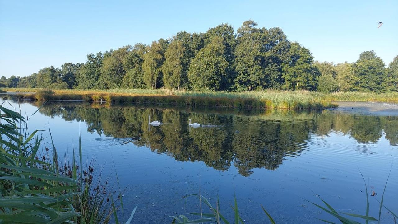 Helle Ferienwohnung In Nettetal Bei Venlo Ngoại thất bức ảnh